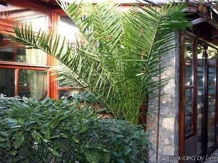 Готель Ambiente 3*