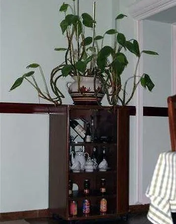 מלון Ambiente פודגוריצה